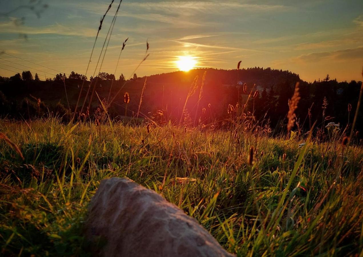 Zagroda Wataha 782 305 923 Polańczyk Esterno foto